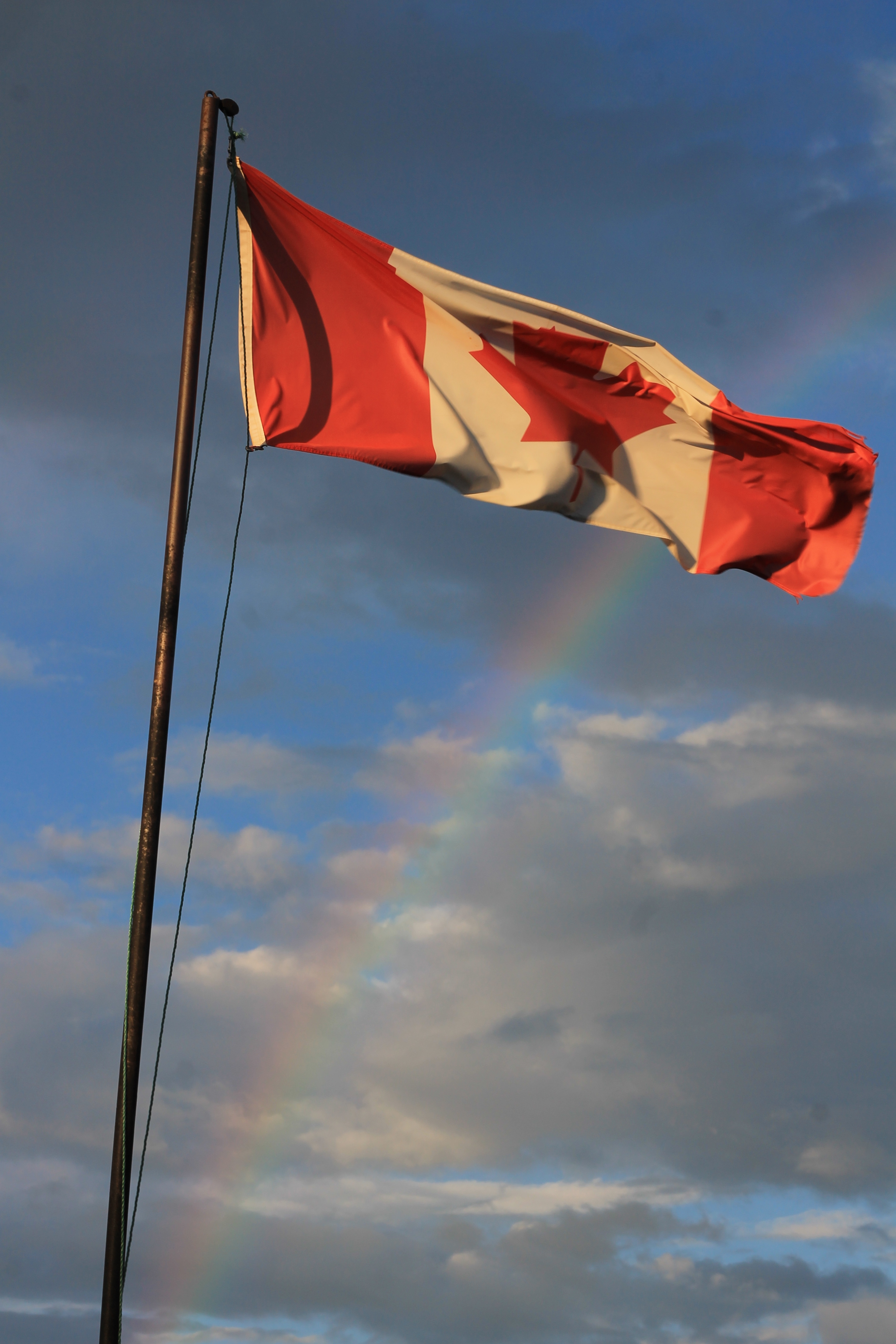 Flag Kristal Taylor Rempel